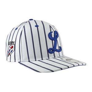 Gorra Licey Flat Bill